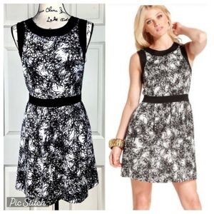 Kensie A-Line Colorblock Print Dress